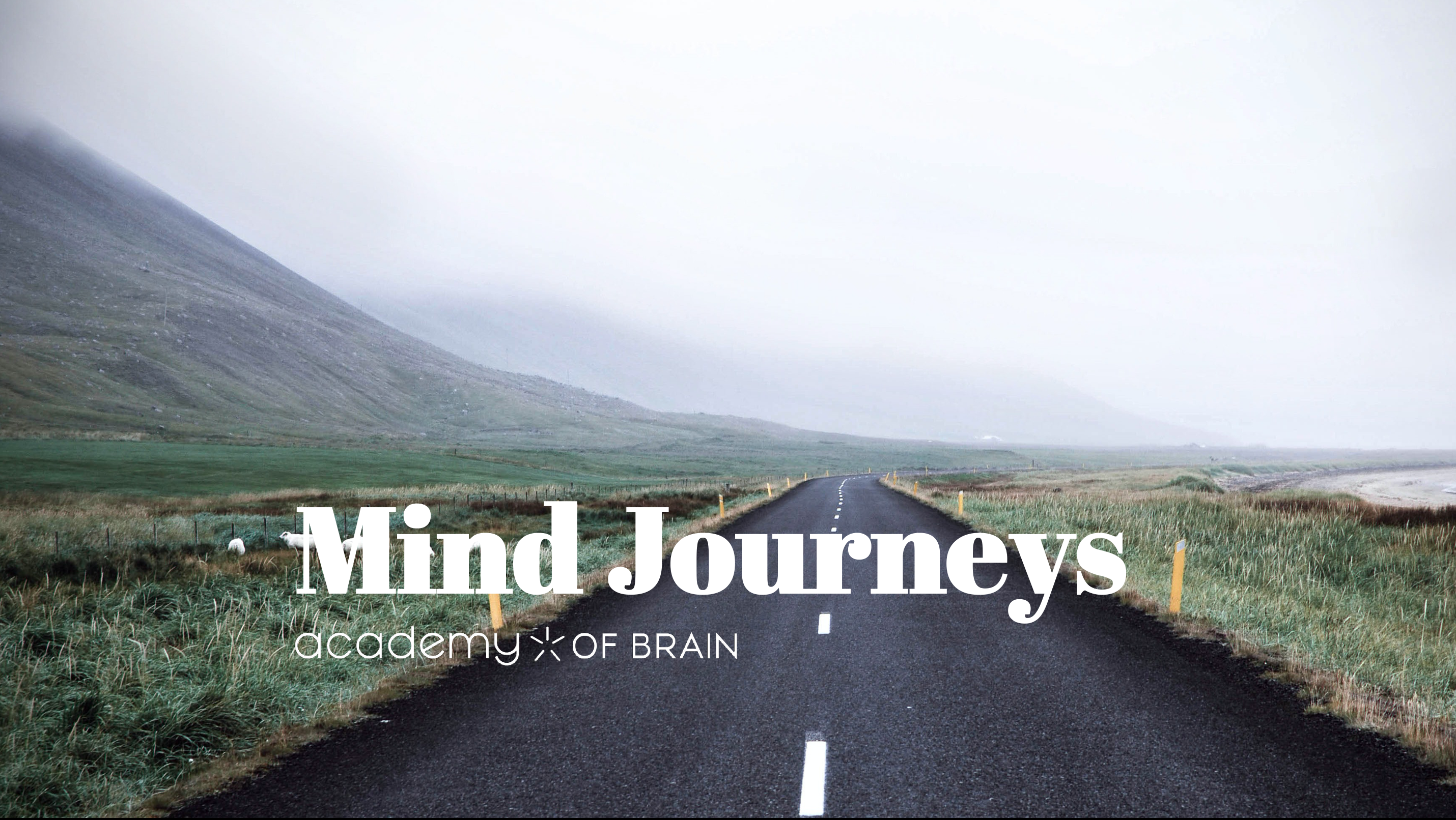 Mind Journeys human skills development