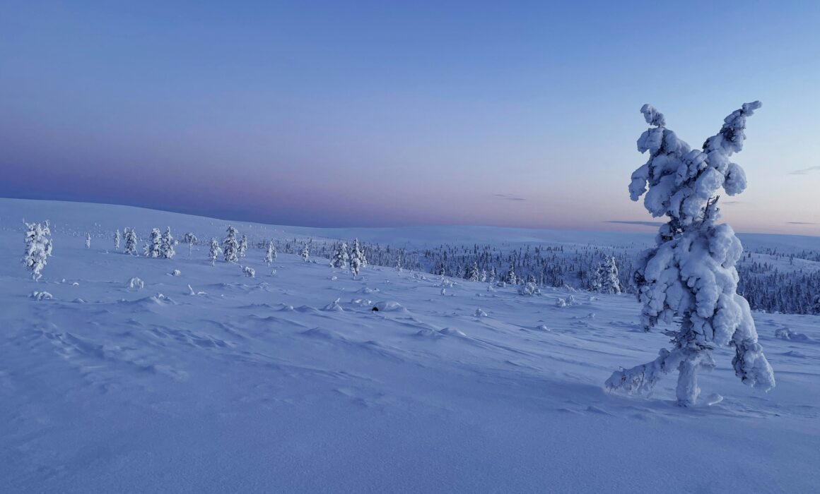 kaamos suomi