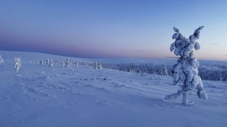 kaamos suomi