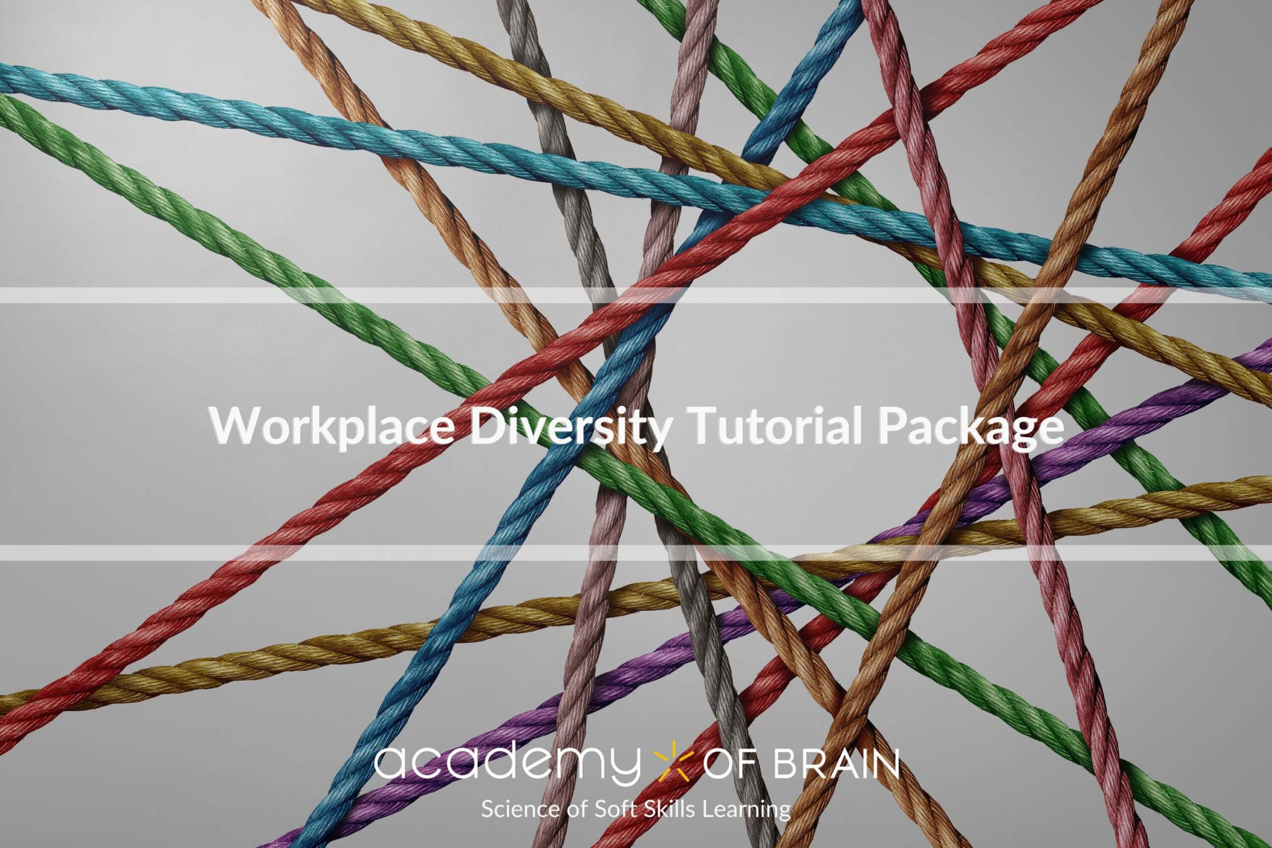 Workplace Diversity Tutorial Package